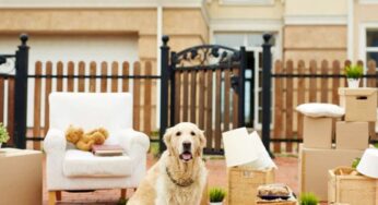 Taking the stress out of your house move